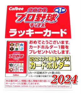 【 2024　第1弾　ラッキーカード 】　★ カルビープロ野球チップス