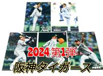 【 2024　第1弾　阪神タイガース 】　レギュラーカード　全5種セット　★　カルビープロ野球チップス 木浪　西　青柳　伊藤　大竹_画像1