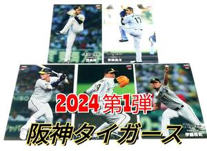 【 2024　第1弾　阪神タイガース 】　レギュラーカード　全5種セット　★　カルビープロ野球チップス 木浪　西　青柳　伊藤　大竹