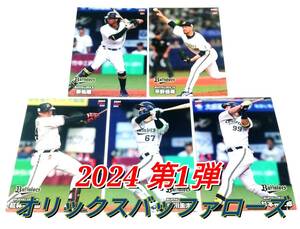 【 2024　第1弾　オリックスバッファローズ 】　レギュラーカード　全5種セット　★　カルビープロ野球チップス　宗 平野 紅林 中川 杉本