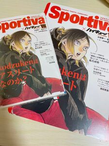 【新品／未使用】ハイキュー ショーセツバンSportiva コラボ　7巻アニメイト購入特典B5ビジュアルボード【孤爪研磨】