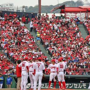 広島東洋カープ チケット 5月4日 シート寝ソベリア （2人用）の画像3