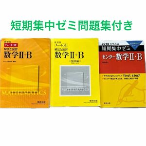 チャート式　解法と演習　数学２＋Ｂ チャート研究所　編著