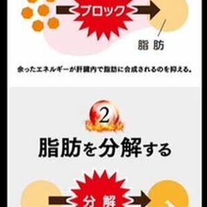 大正製薬【2袋セット】おなかの脂肪が気になる方のタブレット各袋90粒合計180粒【機能性表示食品】の画像5