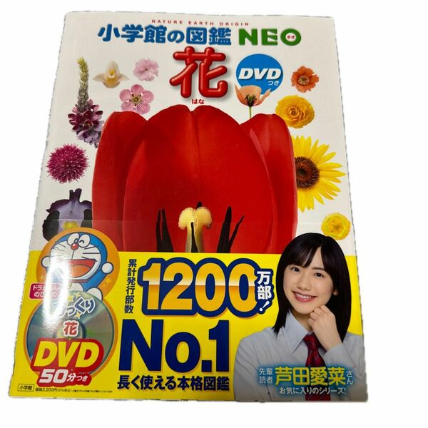 小学館の図鑑NEO 花 DVDなし