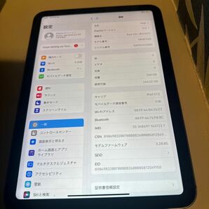 iPad mini 第6世代 256GB Wi-Fi+Cellular SIMフリー グレー ジャンク扱いの画像3