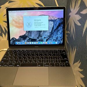 【一部ジャンク品】 MacBook Early 2015 12インチ SSD 256GB 1.3GHz Intel Core M