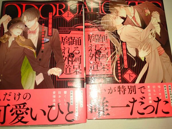 踊る阿呆と腐れ外道　あかねソラ　上下　2冊セット　新品未読品　即購入可