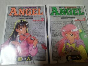 ANGEL エンジェル 遊人 2巻3巻 ヤングサンデー版 初版 絶版