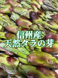 ⑥(訳あり)信州産 天然タラの芽 500g以上 開き