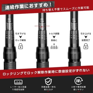 送料無料 トルクレンチ 12.7mm (1/2インチ) 25-220N・m タイヤ交換 車 工具 ハードケース付き セット 正逆回転可能 タイヤ交換 NLB-12BMの画像5