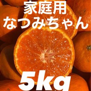 愛媛県産みかん なつみ 箱込5kg 柑橘 ミカン 果物