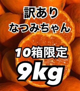 愛媛県産みかん 訳あり なつみ 箱込9kg 柑橘 ミカン 果物