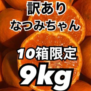 愛媛県産みかん 訳あり なつみ 箱込9kg 柑橘 ミカン 果物