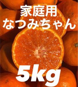 愛媛県産みかん なつみ 箱込5kg 柑橘 ミカン 果物