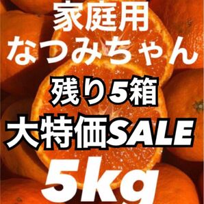 愛媛県産みかん なつみ 箱込5kg 柑橘 ミカン 果物