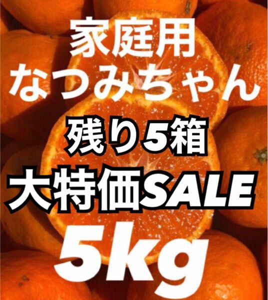 愛媛県産みかん なつみ 箱込5kg 柑橘 ミカン 果物