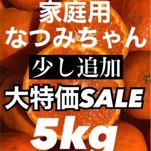 愛媛県産みかん なつみ 箱込5kg 柑橘 ミカン 果物