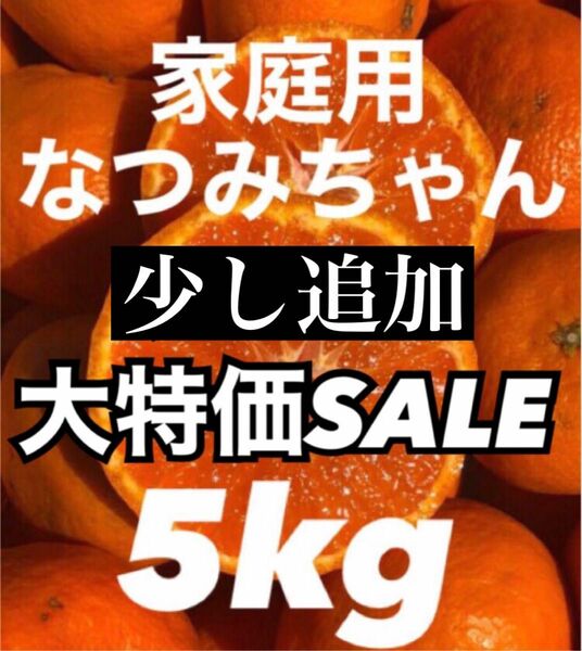 愛媛県産みかん なつみ 箱込5kg 柑橘 ミカン 果物