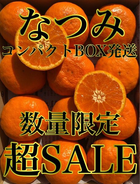 愛媛県産 ミカン なつみ コンパクトボックス 柑橘 みかん 果物