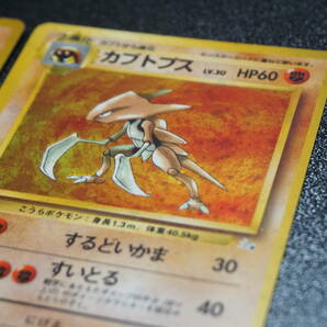 プテラ カブトプス セット 旧裏 ポケモンカードゲーム pokemon card ポケカの画像4