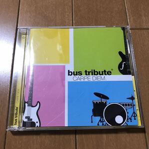 【送料無料・即決】bus tribute CD Carpe Diem ほたる日和 PASTIME、フーバーオーバー、CREAP、popcatcher