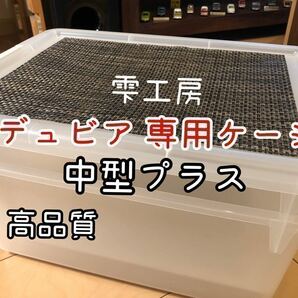 雫工房　デュビア用飼育・繁殖ケージ　中型プラス　二重底上段メッシュ底構造