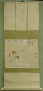 【こもれび】　掛軸★　狩野梅斎　『桜花図』　共箱　【中京画壇】