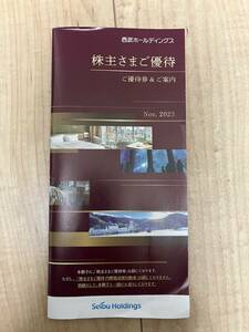 西武ホールディングス株主優待　共通割引券10枚　他　即決送料無料