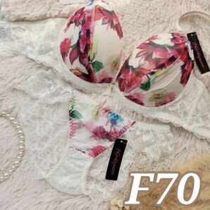 №683【F70】グラフィックフラワーペイントブラジャー&フルバックショーツ