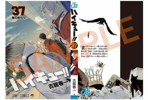 映画 ハイキュー！！ ゴミ捨て場の決戦 入場者特典 第5弾 古舘先生描きおろし コミックス37巻掛替カバー 劇場版 