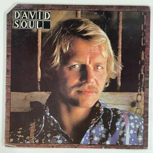 10338 【US盤★美盤】 David Soul/Don't Give Up On Us ※STERLING刻印有