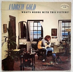 02074 ★白盤 ANDREW GOLD/WHAT’S WRONG WITH THIS PICTURE?