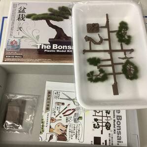 1 まとめ売り プラッツ 1/12 盆栽 プラモデル 松 真柏 PLATZ BONSAI ジオラマ 造形の画像5