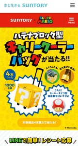 レシート懸賞応募、キャリークーラーバッグ当たる！締切5月31日