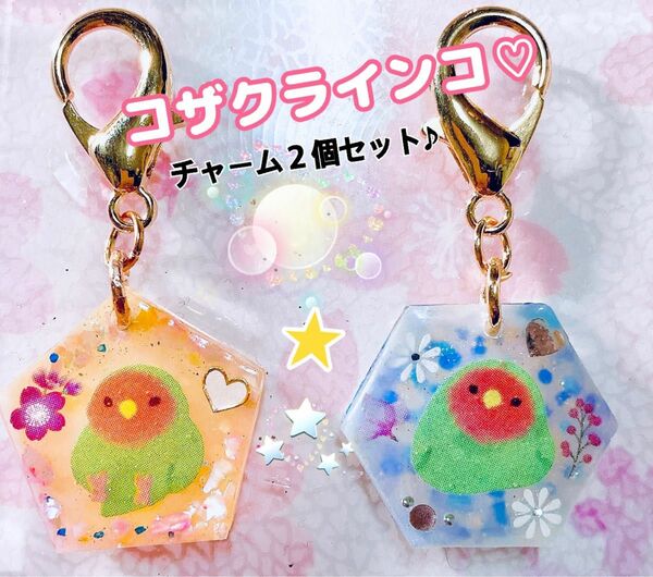 (M-21)コザクラインコ　ハンドメイド　チャーム２個セット♪ レジン　インコ　鳥　ファスナーチャーム