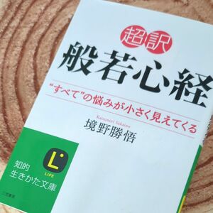 超訳般若心経　“すべて”の悩みが小さく見えてくる （知的生きかた文庫　さ３７－４　ＬＩＦＥ） 境野勝悟／著