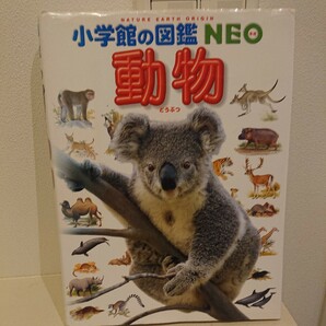 動物 (小学館の図鑑 NEO) 