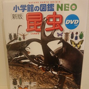 DVD付 新版 昆虫 (小学館の図鑑 NEO) 