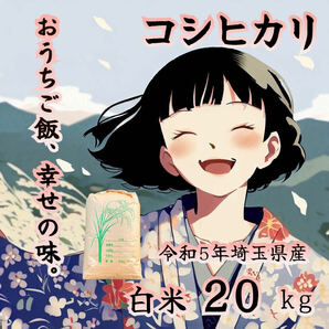 【白米】新米 産地直送！令和5年産 埼玉県産 コシヒカリ 白米 20kg 未検査米 おいしいお米 玄米を精米してお届けの画像1