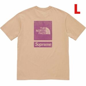 Supreme x The North Face S/S Top 