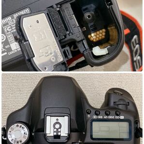 Canon EOS 50D EF-S 18-200mm 1:3.5-5.6 IS EW-78D デジタル一眼レフ カメラ キヤノン レンズ の画像4