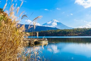 フリー画像　即決1円　富士山