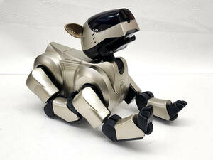 H　R60426　SONY ソニー　AIBO アイボ　ERS-210　バーチャルペット　本体のみ　おもちゃ　ゲーム　電子玩具　現状渡し