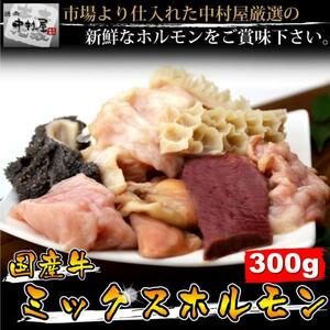 [1 jpy ][10 number ] domestic production cow Mix hormone 300g( yakiniku, motsunabe )