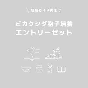 【簡易ガイド付き！】ビカクシダ胞子培養　スターターセット