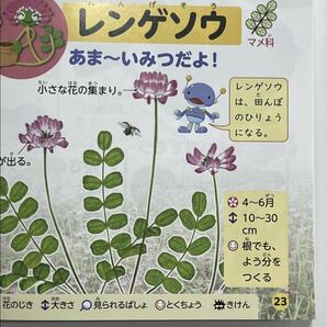 ☆即決あり☆ わくわくずかん しょくぶつはかせ こんちゅうはかせ２冊セット！ ユニバーサルデザインフォント対応版 正進社！の画像5