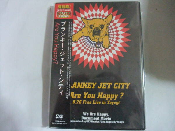 レア　新品DVD Blankey Jet City ブランキージェットシティ / Are You Happy?　ライヴ　中村達也 gavial 浅井健一 ルードギャラリー