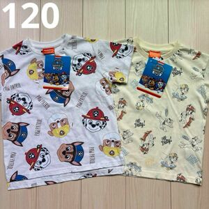 【パウパトロール】マーシャル チェイス ラブル キャラクター 総柄 Tシャツ 2点セット 120