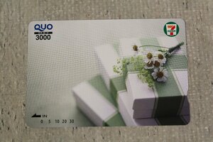  бесплатная доставка QUO 3000 иен минут ×1 листов QUO card 
